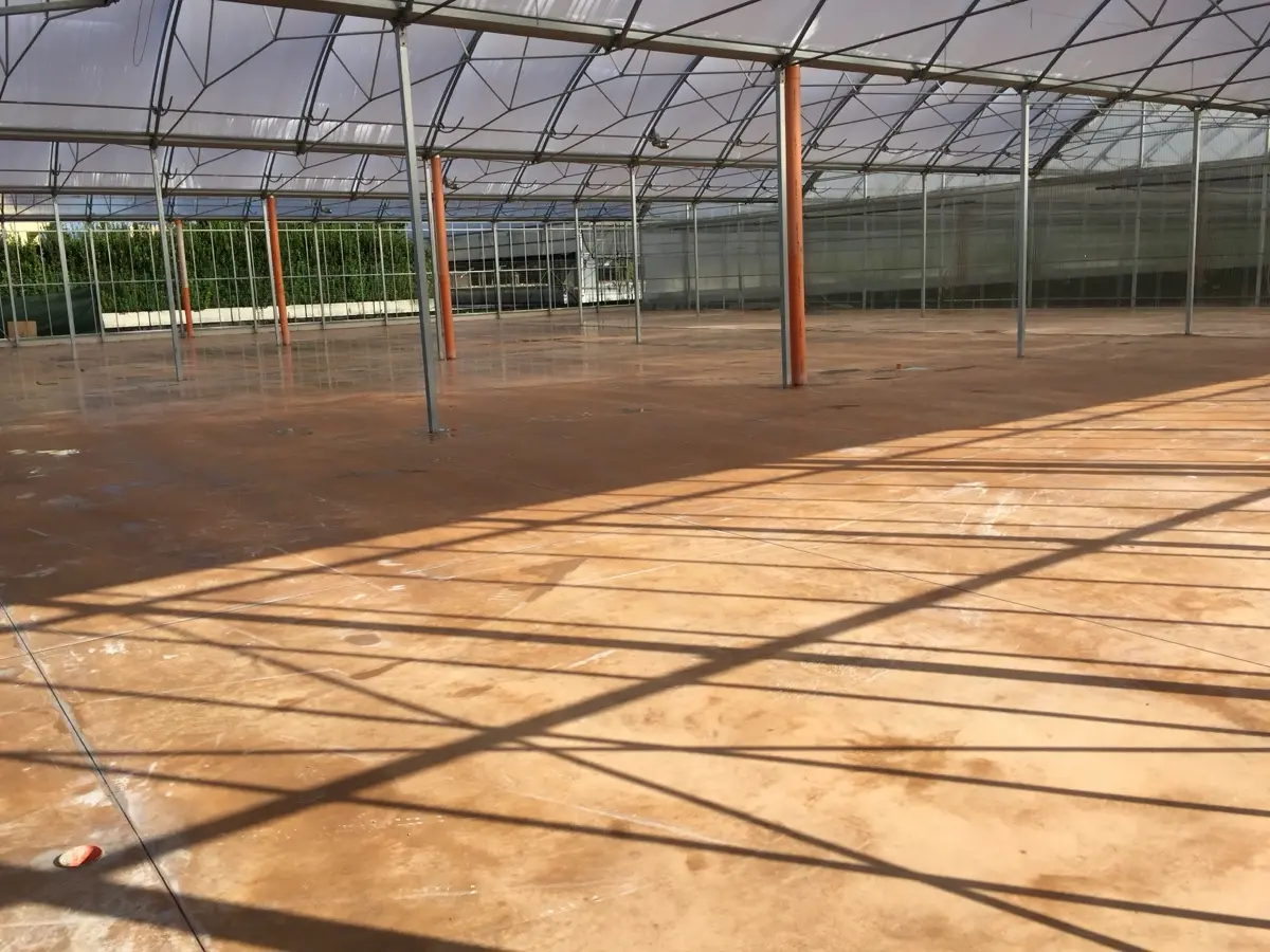 Pavimento in calcestruzzo sotto una serra per attività agricola